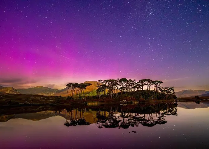 Prázdninový dům Ocean Mist